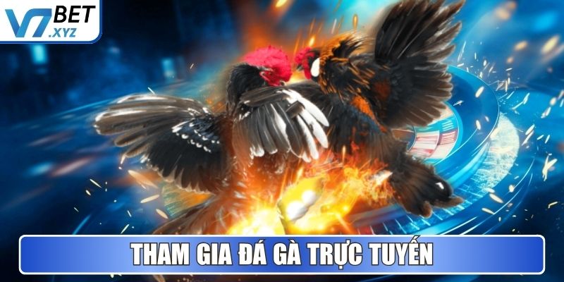 V7Bet Xucx5l1 🎖️【V7 Bet】| Link Vào Trang Chủ V7Bet.com 26 Tham gia Đá Gà trực tuyến